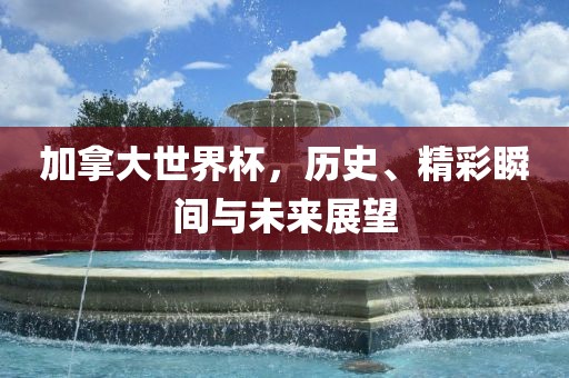 加拿大世界杯，历史、精彩瞬间与未来展眉山市正发家政服务有限公司望