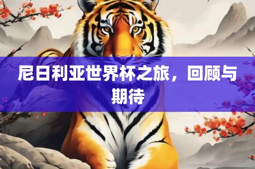尼日利亚世界杯之旅，回顾与期待