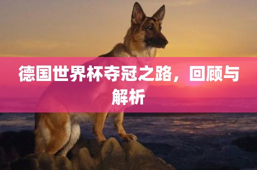 德国世界杯夺冠之路，回顾与解析