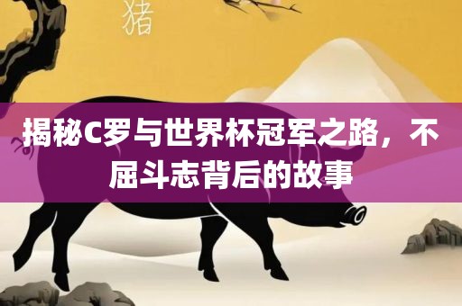 揭秘C罗与世界杯冠军之路，不屈斗志背后的故事