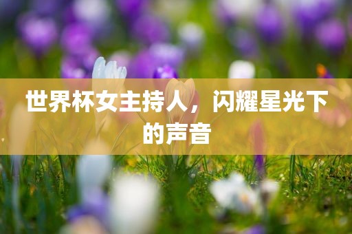 世界杯女主持人，闪耀星光下的声音