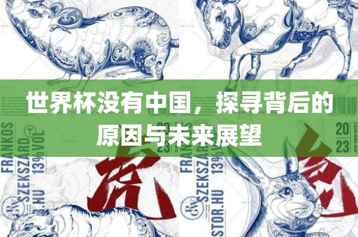 世界杯没有中国，探寻背后的原因与未来展望