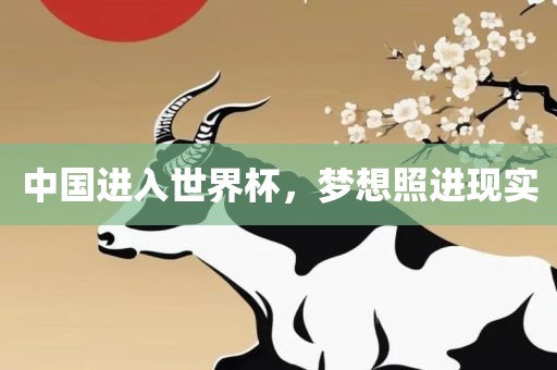 中国进入世界杯，梦想照进现实