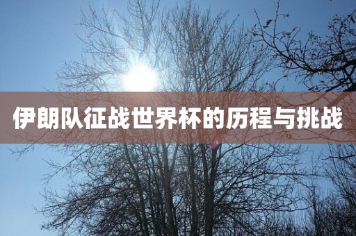 伊朗队征战世界杯的历程与挑战眉山市正发家政服务有限公司