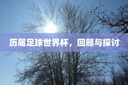 历届足球世界杯，回顾与探讨眉山市正发家政服务有限公司