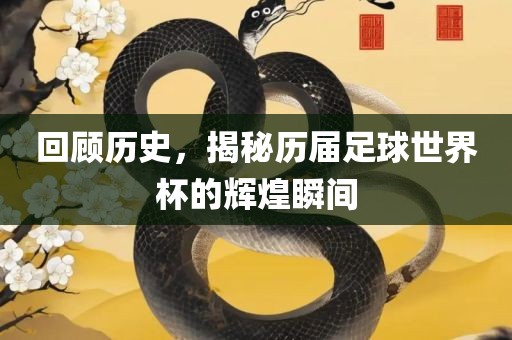 回顾历史，揭秘历届足球世界杯的辉煌瞬间