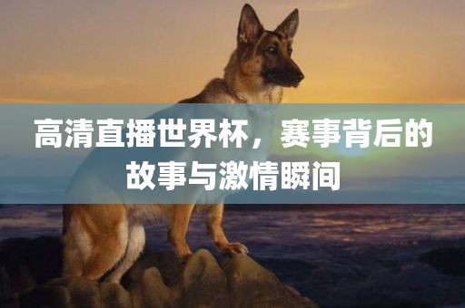 高清直播世界杯，赛事背后的故事与激情瞬间