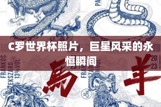 C罗世界杯照片，巨星风采的永恒瞬间