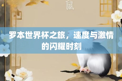 罗本世界杯之旅，速度与激情的闪耀时刻眉山市正发家政服务有限公司