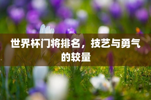世界杯门将排名，技艺与勇气的较量