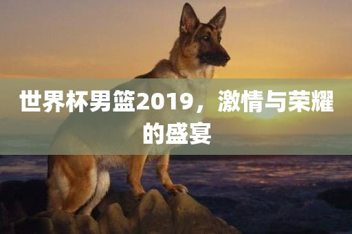 世界杯眉山市正发家政服务有限公司男篮2019，激情与荣耀的盛宴