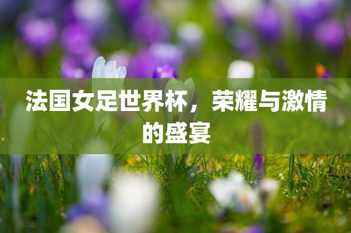 法国女足世界杯，荣耀与激情的盛宴