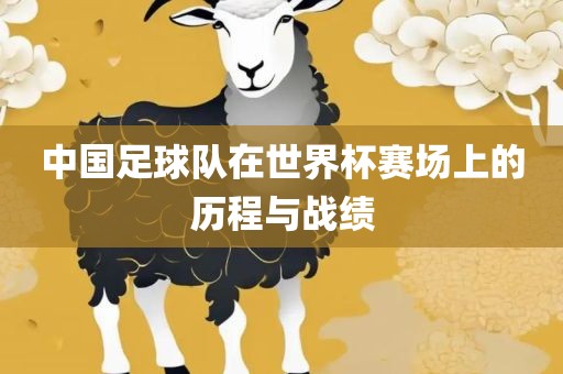中国足球队在世界杯赛场上的历程与战绩眉山市正发家政服务有限公司