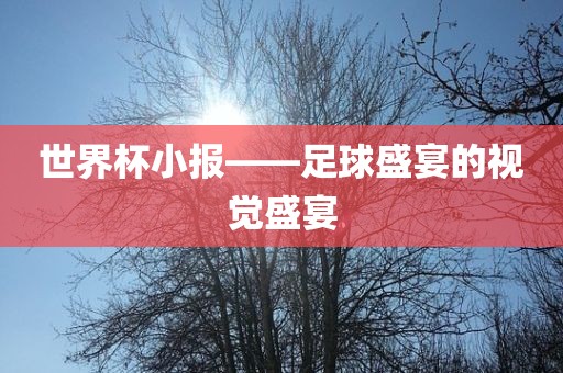 世界杯小报——眉山市正发家政服务有限公司足球盛宴的视觉盛宴
