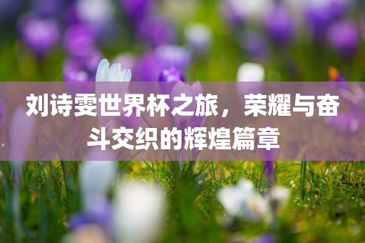 刘诗雯世界杯之旅，荣耀与奋斗交织的辉煌篇章眉山市正发家政服务有限公司