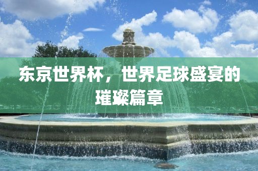 东京世界杯，世界足球盛宴的璀璨篇章