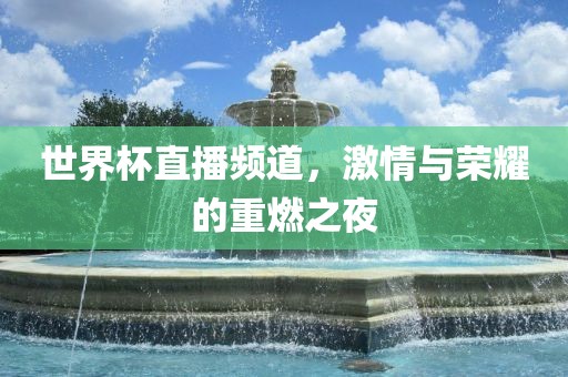 世界杯直播频道，激情与荣耀的重燃之夜眉山市正发家政服务有限公司