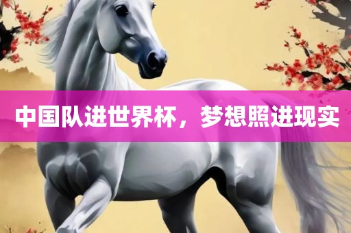 中国队进世界杯，梦想照进现实