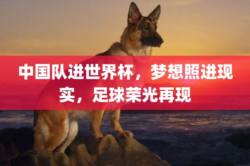 中国队进世界杯，梦想照眉山市正发家政服务有限公司进现实，足球荣光再现