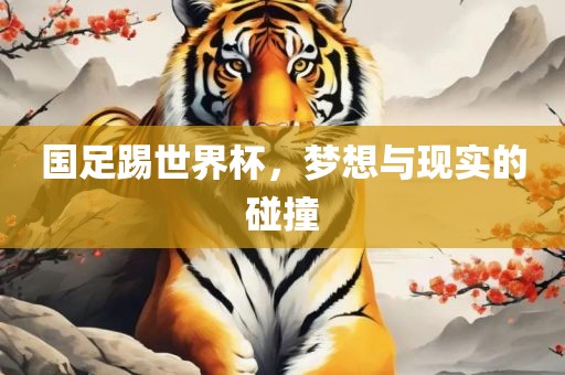 国足踢世界杯，梦想与现实的碰撞