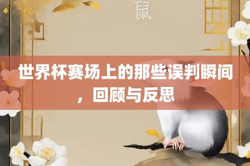 世界杯赛场上的那些误判瞬间，回顾与反思
