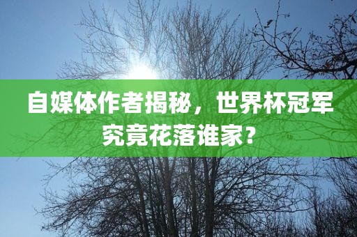 自媒体作者揭秘，世界杯冠军究竟花落谁家？