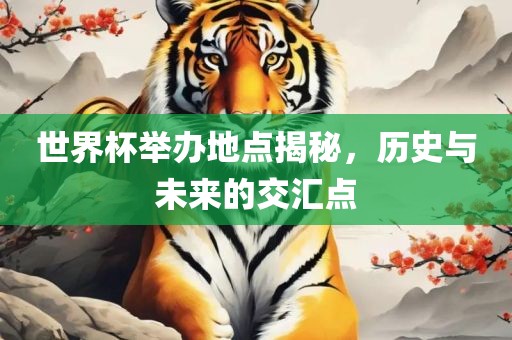 世界杯举办地点揭秘，历史与未来的交汇点
