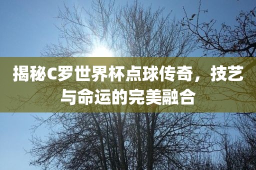 揭秘C罗世界杯点球传奇，技艺与命运的完美融合