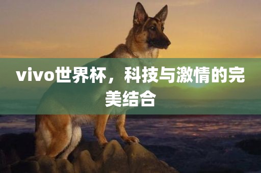 vivo世界杯，科技与激情的完美结合