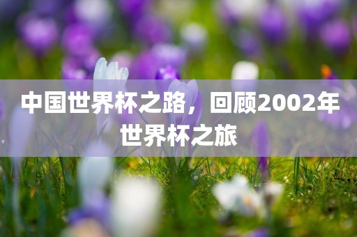 中国世界杯之路，回顾2002年世界杯之旅