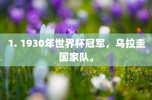 1. 1930年世界杯冠军，乌拉圭国家队。