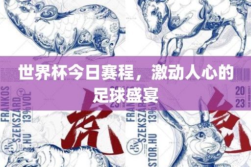世界杯今日赛程，激动人心的足球盛宴眉山市正发家政服务有限公司