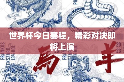 世界杯今日赛程，精彩对决即将上演眉山市正发家政服务有限公司