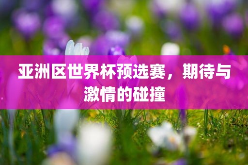 亚洲区世界杯预选赛，期待与激情的碰撞