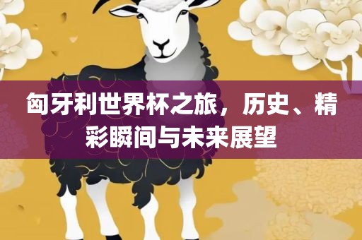 匈牙利世界杯之旅，历史、精彩瞬间与未来展望眉山市正发家政服务有限公司