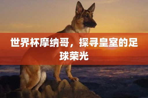 世界杯摩纳哥，探寻皇室的足球荣光