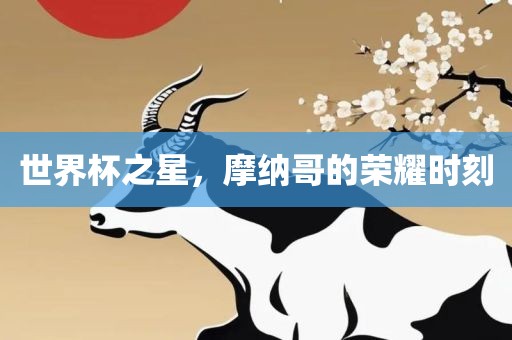 世界杯之星，摩纳哥的荣耀时刻