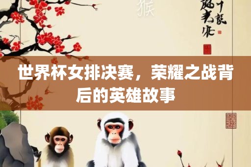 世界杯女排决赛，荣耀之战背后的英雄故事