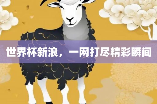 世界杯新浪，一网打尽精彩瞬间眉山市正发家政服务有限公司