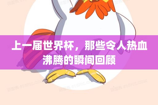 上一届世界杯，那些令人热血沸腾的瞬间回顾眉山市正发家政服务有限公司