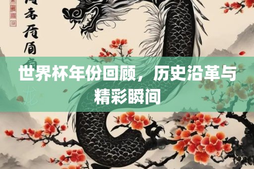 世界杯年份回顾，历史沿革与精彩瞬间