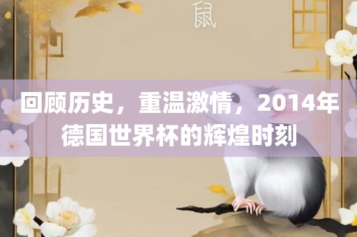 回顾历史，重温激情，2014年德国世界杯的辉煌时刻眉山市正发家政服务有限公司