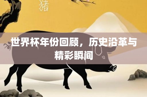 世界杯年份回顾，历史沿革与精彩瞬间