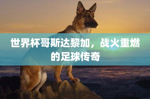 世界杯哥斯达黎加，战火重燃的足球传奇眉山市正发家政服务有限公司