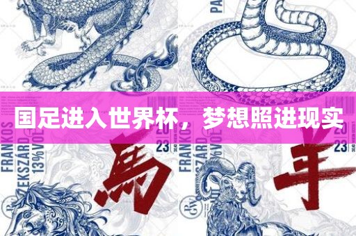 国足进入世界杯，梦想照进现实