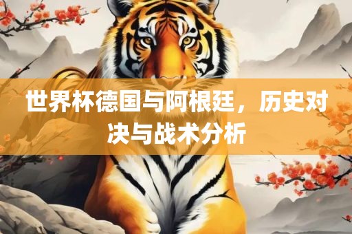 世界杯德国与阿根廷，历史对决与战术分析