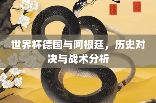 世界杯德国与阿根廷，历史对决与战术分析