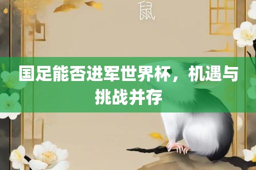 国足能否进军世界杯，机遇与挑战并存