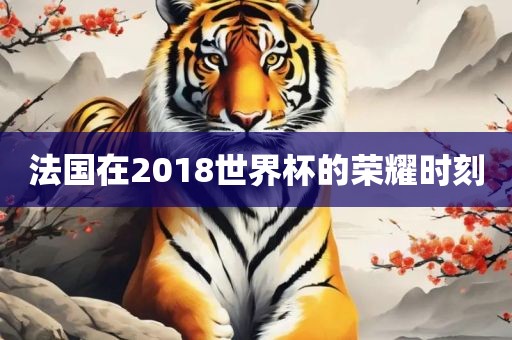 法国在2018世界杯的荣耀时刻眉山市正发家政服务有限公司