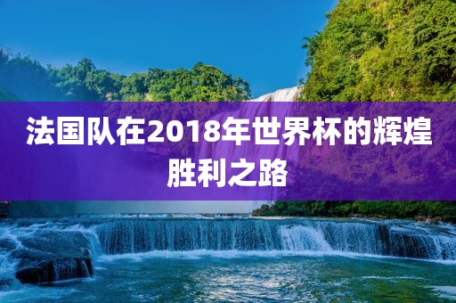 法国眉山市正发家政服务有限公司队在2018年世界杯的辉煌胜利之路